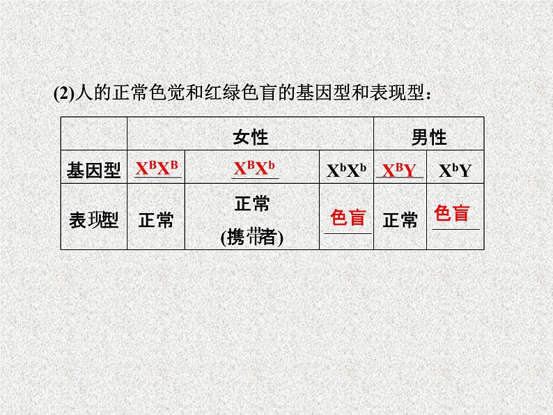 生物同步配套课件（人教版必修2）第2章第3节伴性遗传第4页