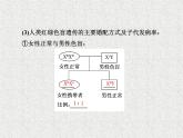 生物同步配套课件（人教版必修2）第2章第3节伴性遗传