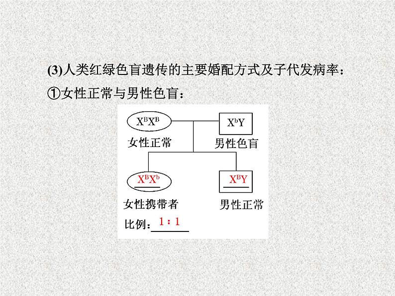 生物同步配套课件（人教版必修2）第2章第3节伴性遗传第5页
