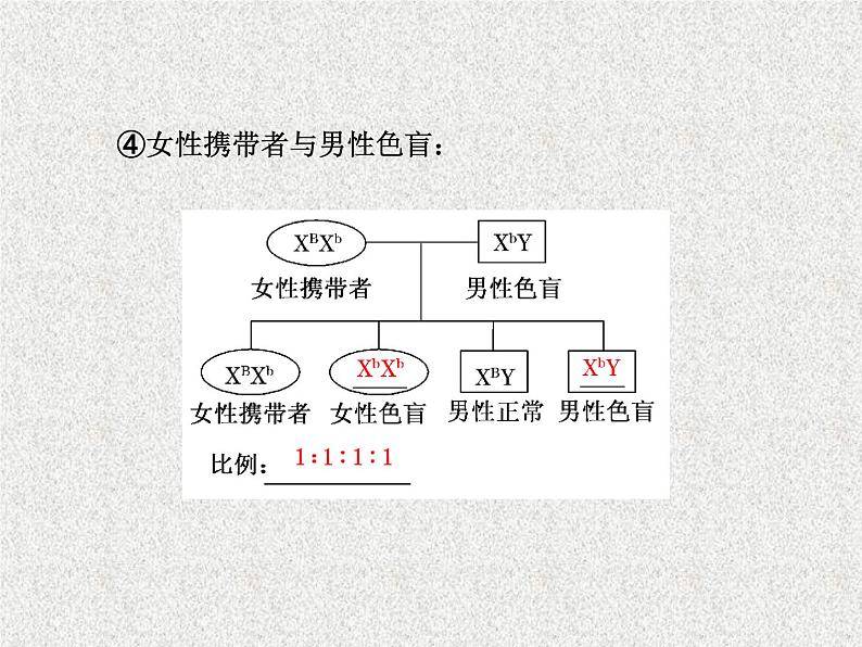 生物同步配套课件（人教版必修2）第2章第3节伴性遗传第8页