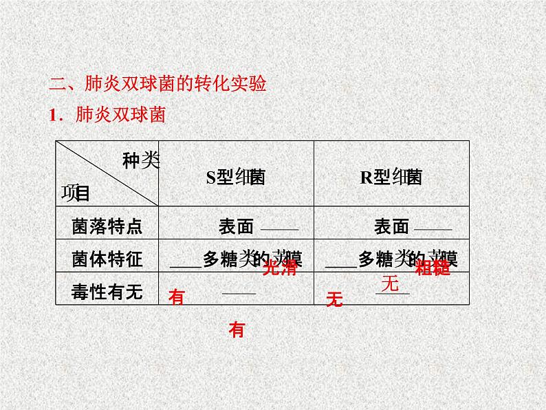 生物同步配套课件（人教版必修2）第3章第1节DNA是主要的遗传物质04