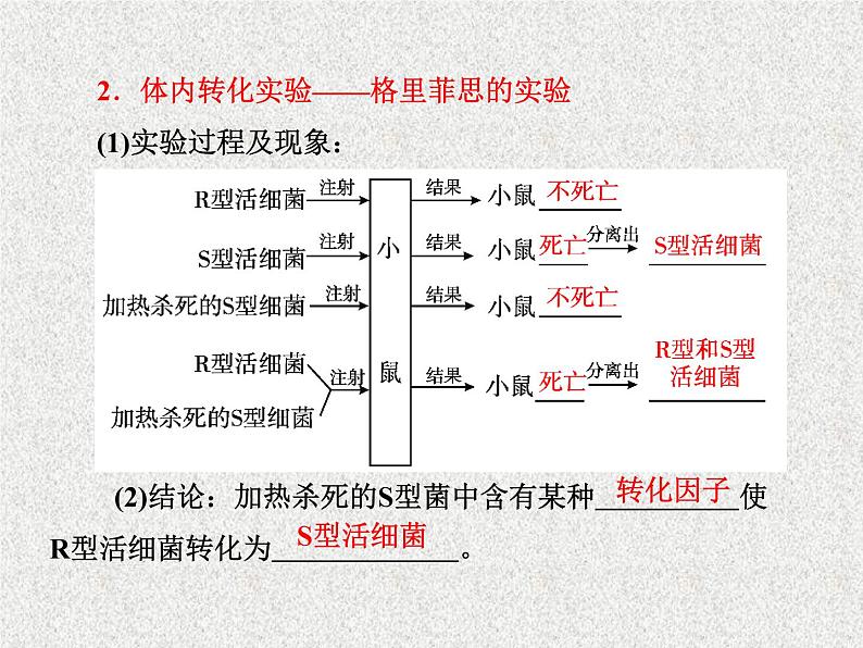 生物同步配套课件（人教版必修2）第3章第1节DNA是主要的遗传物质05