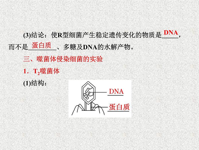 生物同步配套课件（人教版必修2）第3章第1节DNA是主要的遗传物质07