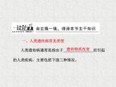 生物同步配套课件（人教版必修2）第5章第3节人类遗传病