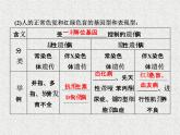 生物同步配套课件（人教版必修2）第5章第3节人类遗传病