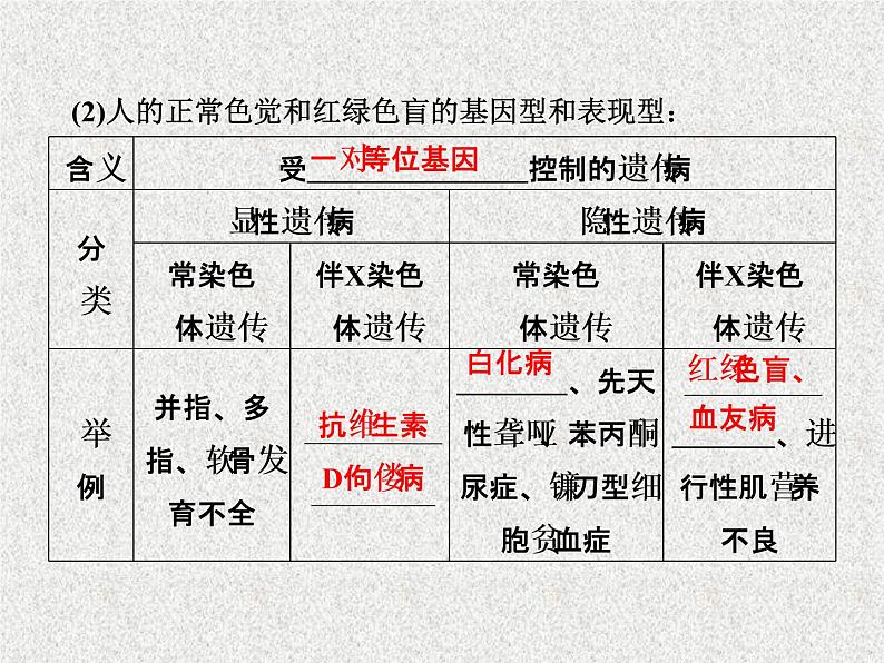 生物同步配套课件（人教版必修2）第5章第3节人类遗传病04