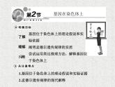 生物同步配套课件（人教版必修2）第2章第2节基因在染色体上