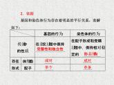 生物同步配套课件（人教版必修2）第2章第2节基因在染色体上