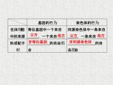 生物同步配套课件（人教版必修2）第2章第2节基因在染色体上