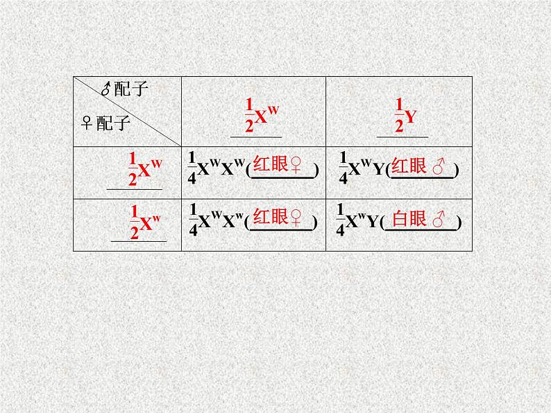 生物同步配套课件（人教版必修2）第2章第2节基因在染色体上08