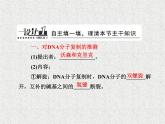 生物同步配套课件（人教版必修2）第3章第3、4节DNA的复制　基因是有遗传效应的DNA片段