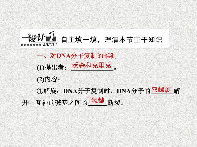 生物同步配套课件（人教版必修2）第3章第3、4节DNA的复制　基因是有遗传效应的DNA片段第3页