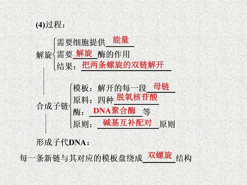 生物同步配套课件（人教版必修2）第3章第3、4节DNA的复制　基因是有遗传效应的DNA片段第5页