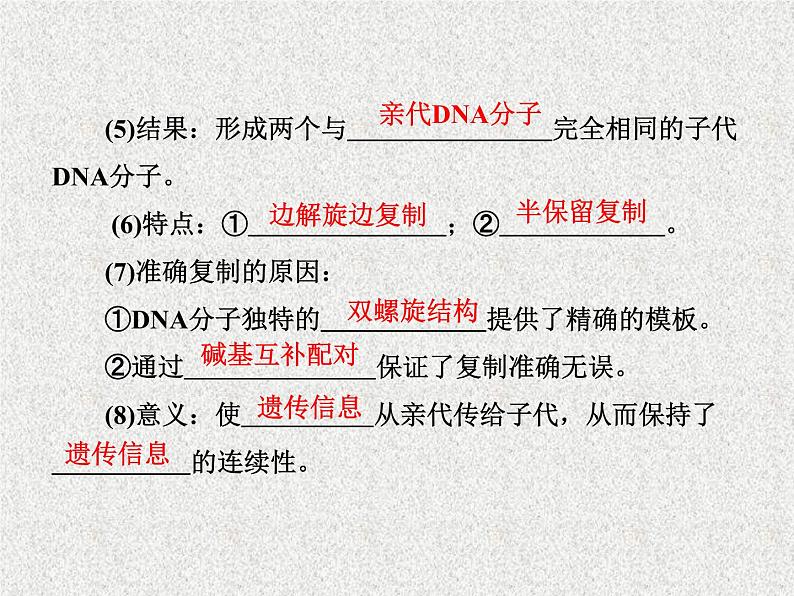 生物同步配套课件（人教版必修2）第3章第3、4节DNA的复制　基因是有遗传效应的DNA片段第6页