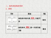 生物同步配套课件（人教版必修2）第5章第2节染色体变异