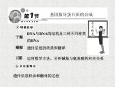 生物同步配套课件（人教版必修2）第4章第1节基因指导蛋白质的合成