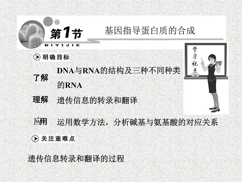 生物同步配套课件（人教版必修2）第4章第1节基因指导蛋白质的合成第1页