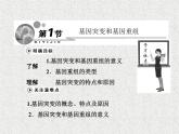 生物同步配套课件（人教版必修2）第5章第1节基因突变和基因重组