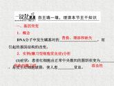 生物同步配套课件（人教版必修2）第5章第1节基因突变和基因重组