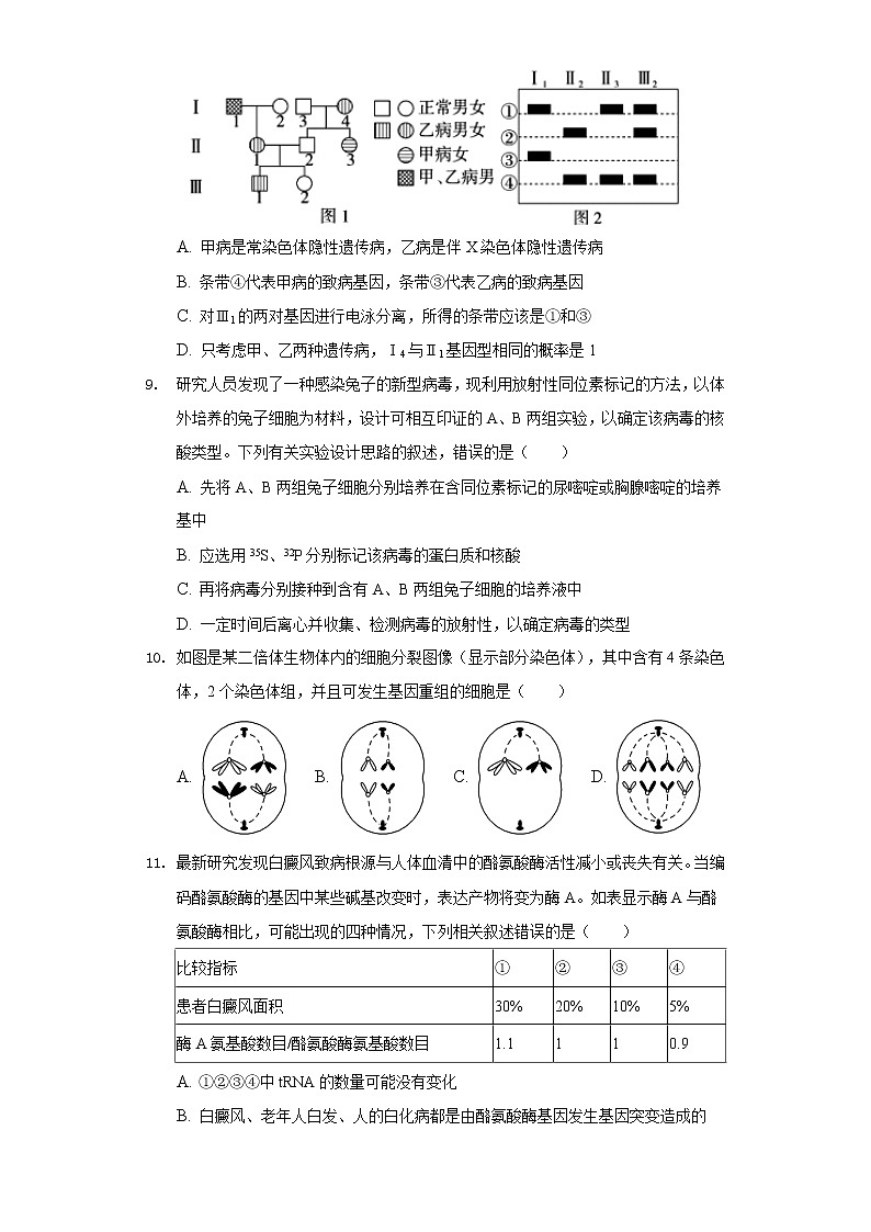 2022年新疆昌吉州高考生物一模试卷03