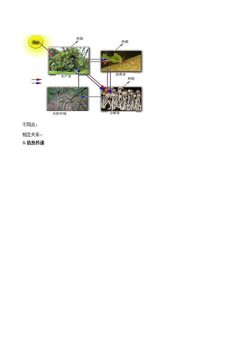 2022高考生物复习《生物与环境》学案+练习第3页