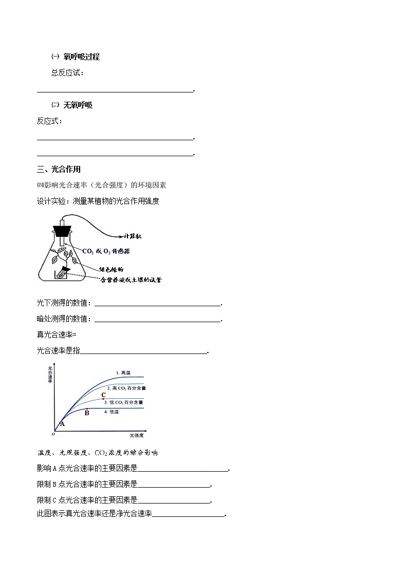 2022高考生物复习《细胞代谢》学案+练习第2页
