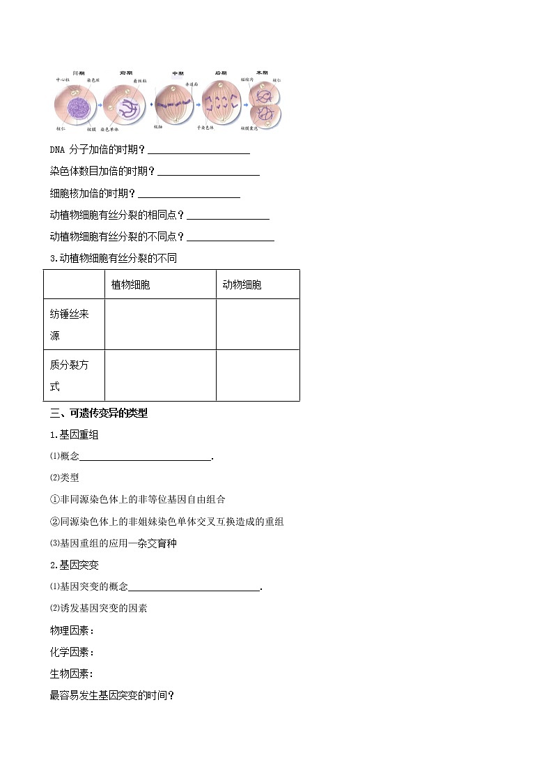 2022高考生物复习《细胞分裂和变异》学案+练习第2页