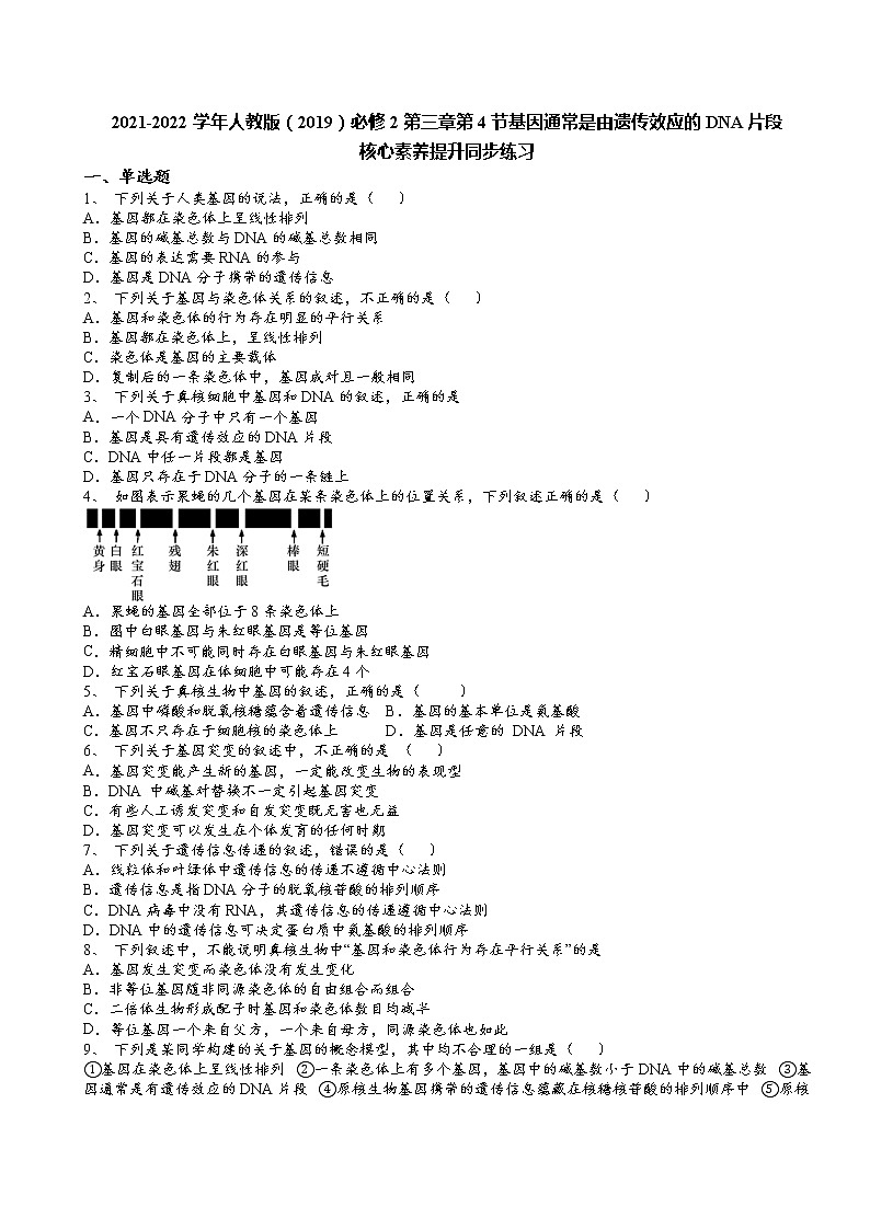 2021-2022学年人教版（2019）必修2第三章第4节基因通常是由遗传效应的DNA片段核心素养提升同步练习第1页