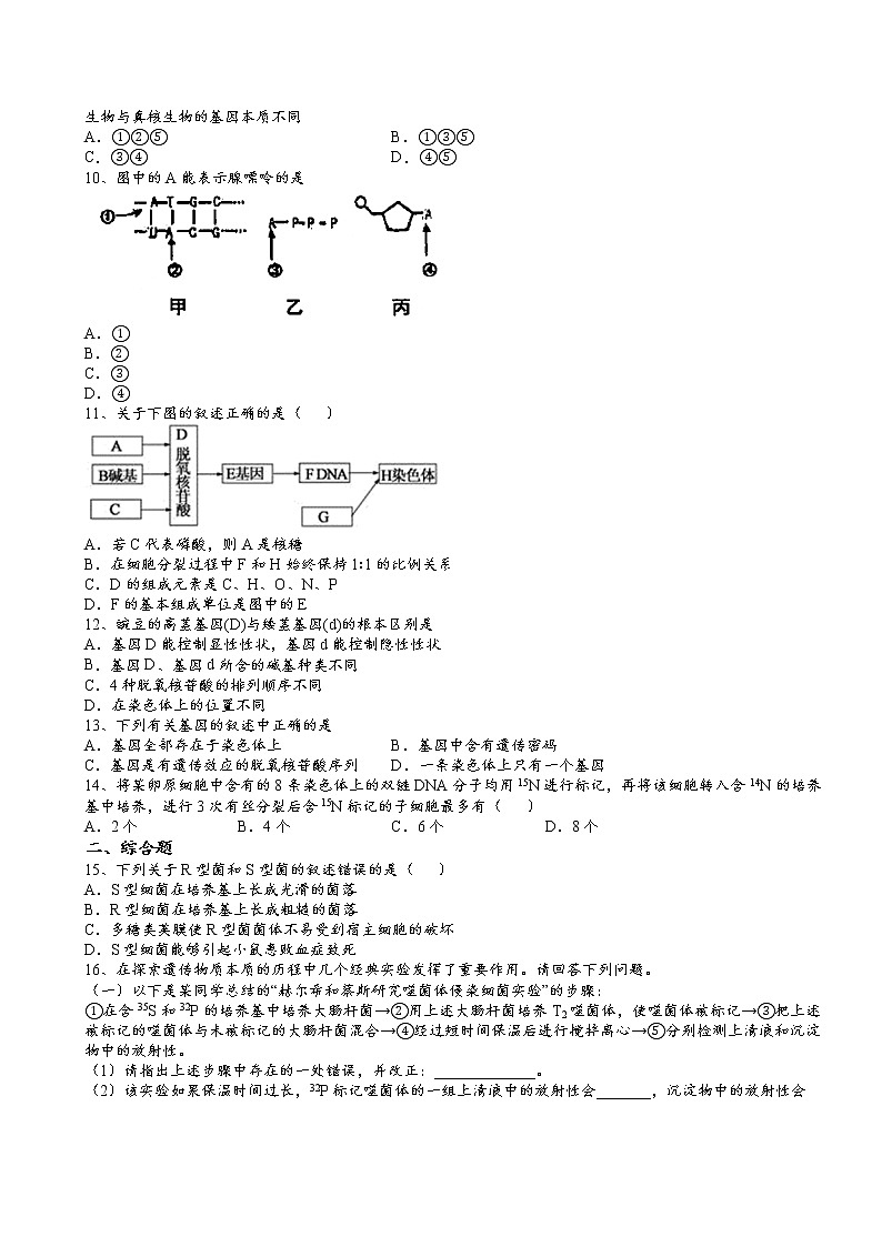 2021-2022学年人教版（2019）必修2第三章第4节基因通常是由遗传效应的DNA片段核心素养提升同步练习第2页