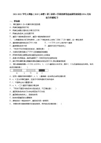生物必修2《遗传与进化》第3节 DNA的复制综合训练题