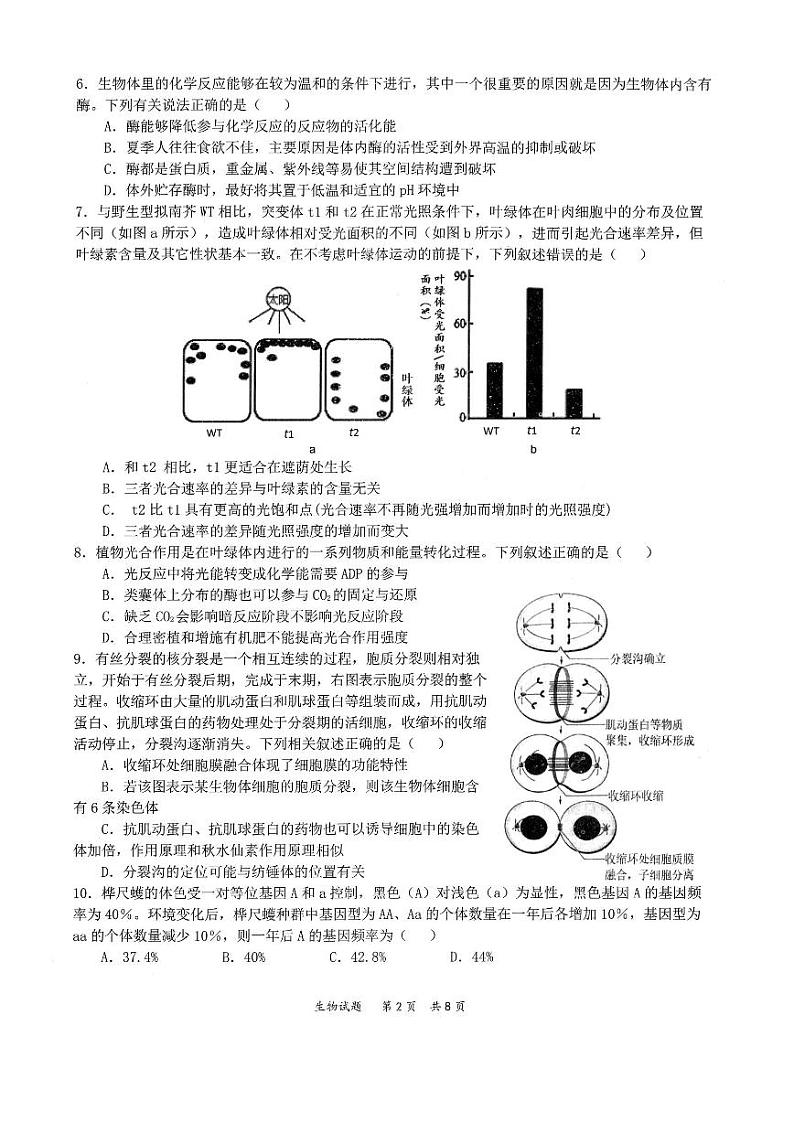 2022届八省八校（T8联考）高三上学期第一次联考试题 生物 （pdf版含答案）03