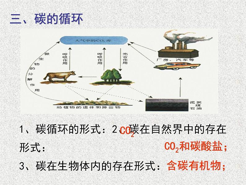 高考生物专题复习 生态系统课件课件 新人教版第2页