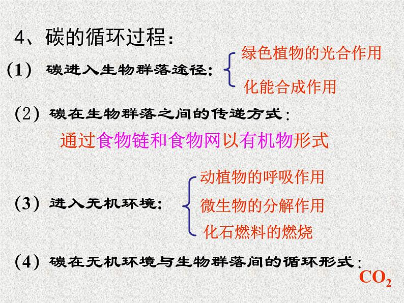 高考生物专题复习 生态系统课件课件 新人教版第3页