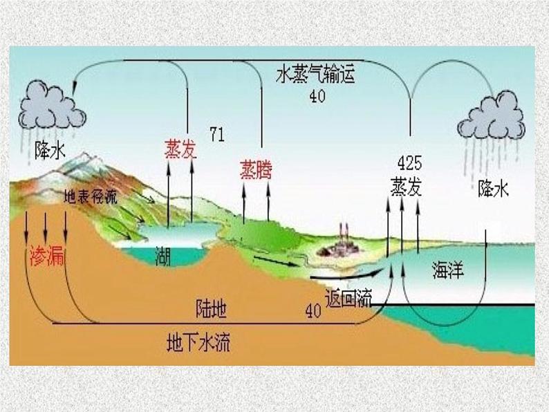 高考生物专题复习 生态系统课件课件 新人教版第8页