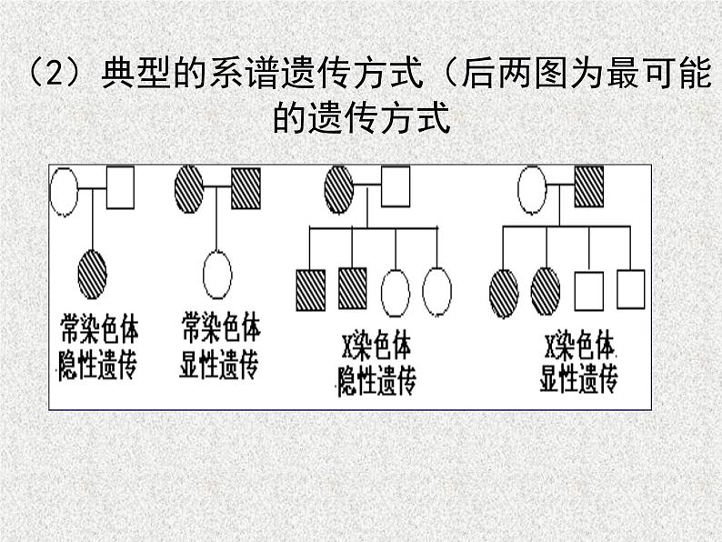 高考生物专题复习 遗传、变异与进化课件 新人教版06