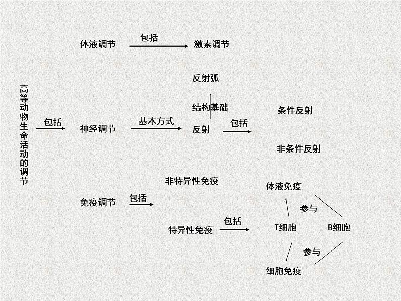 高考生物专题复习 模型构建专题复习课件 新人教版第6页