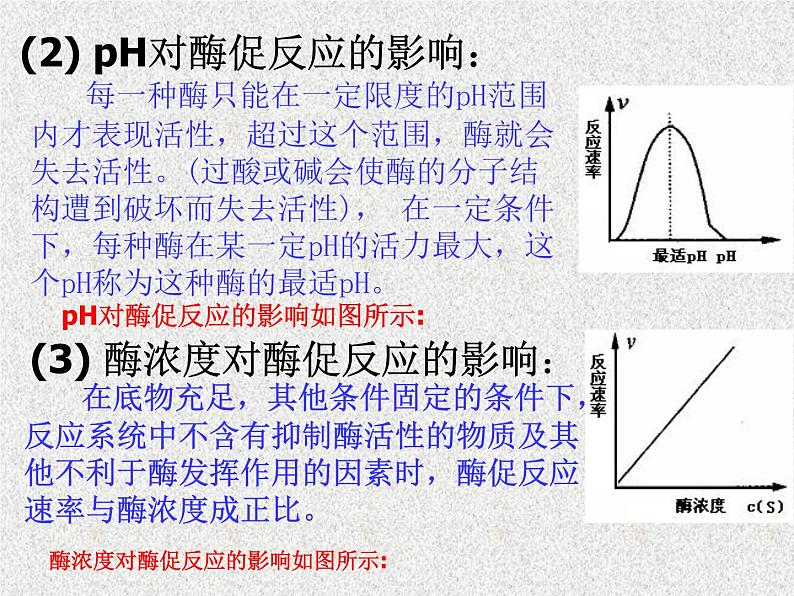 高考生物专题复习 生物的新陈代谢课件 新人教版第4页