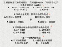 高考生物专题复习 遗传变异课件 新人教版