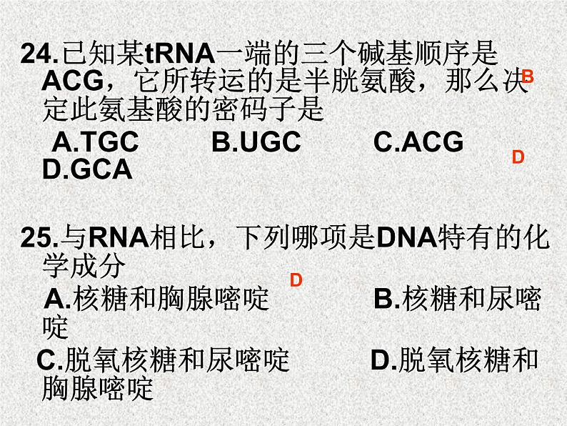 高考生物专题复习 遗传变异课件 新人教版第3页