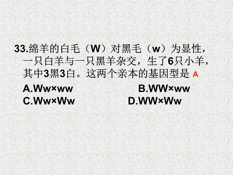 高考生物专题复习 遗传变异课件 新人教版第5页