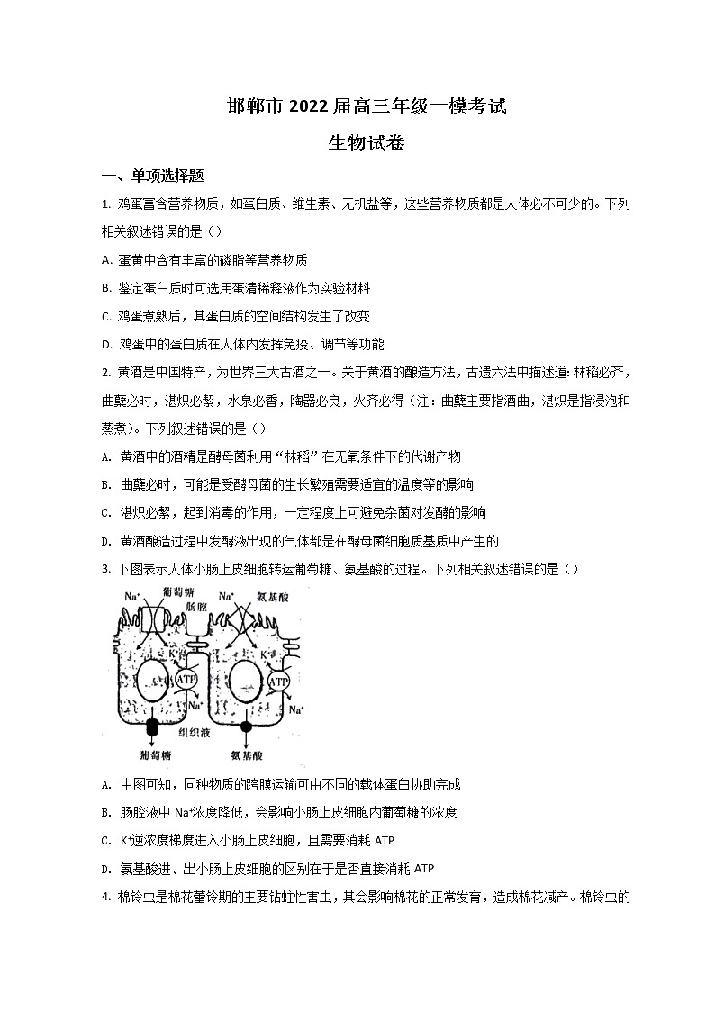 2022邯郸高三下学期3月一模考试生物试题含答案01