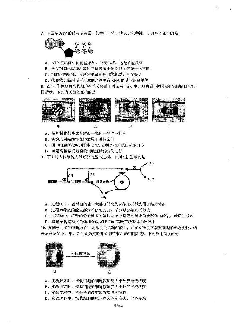 2021宁波镇海中学高三下学期5月选考适应性测试（二模）生物试题扫描版含答案02