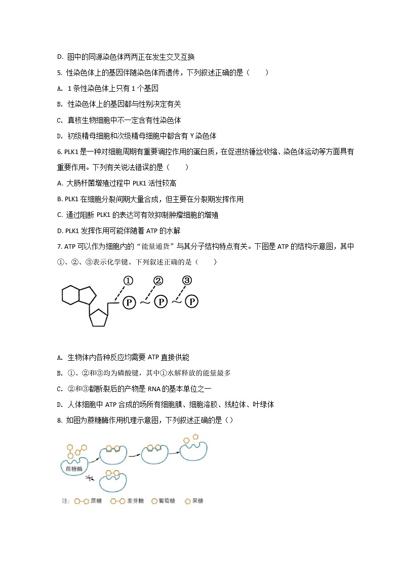 2022浙江省精诚联盟高一下学期3月联考生物试题含答案02