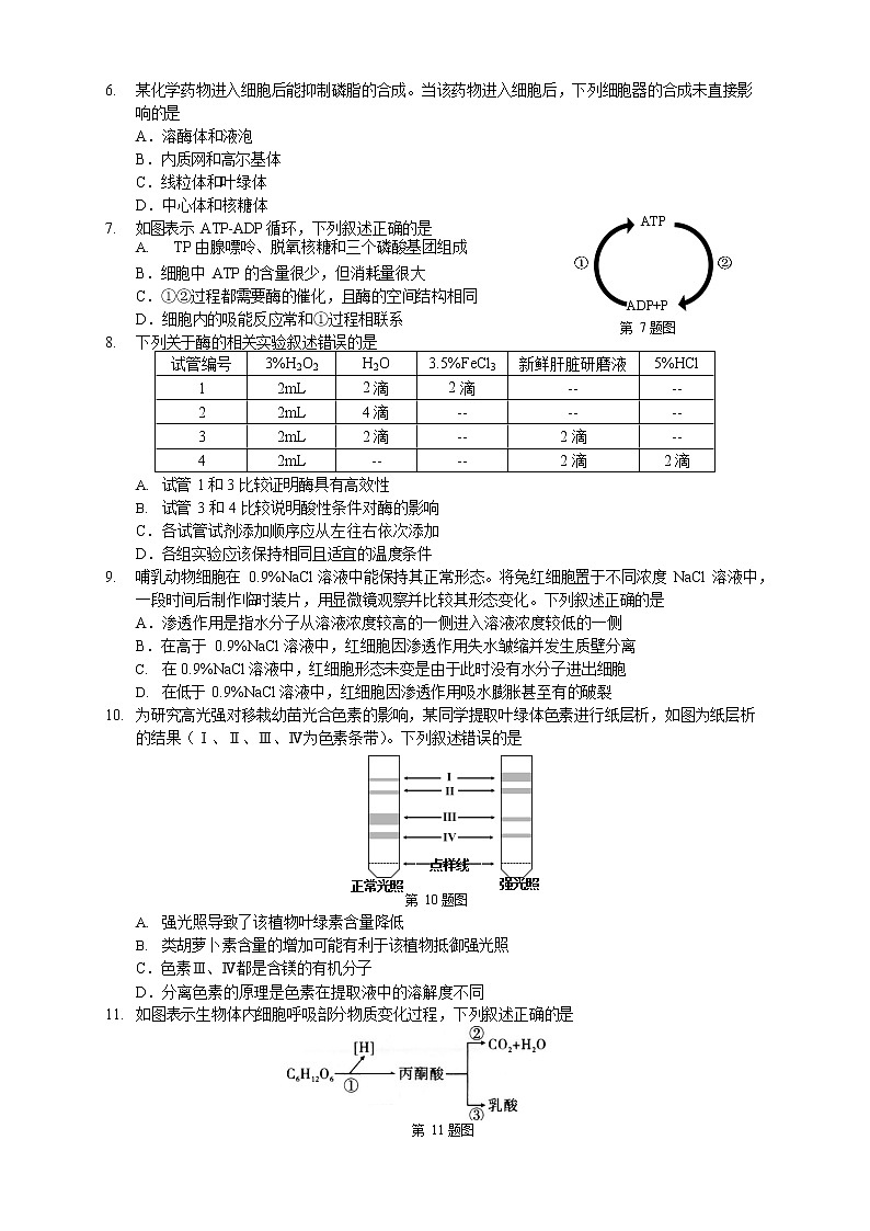 浙江省浙南名校联盟2020-2021学年高一下学期期中联考生物试题第2页