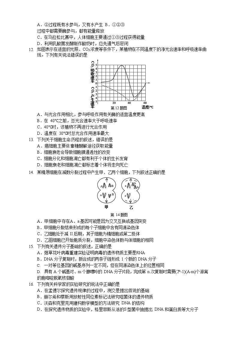 浙江省浙南名校联盟2020-2021学年高一下学期期中联考生物试题第3页