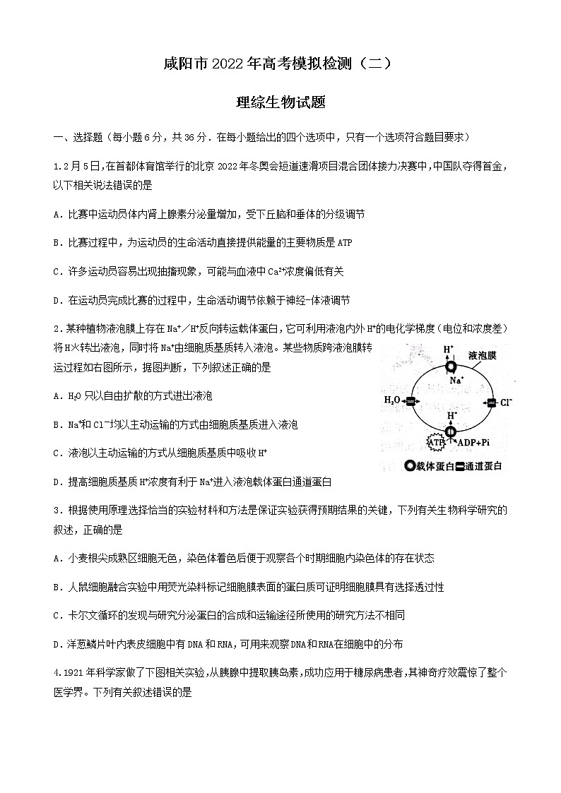 陕西省咸阳市2022年高考模拟检测（二）理科综合生物试题及答案01
