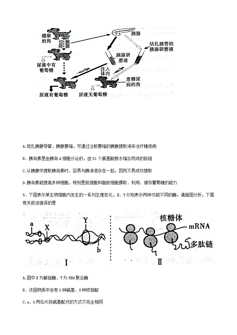 陕西省咸阳市2022年高考模拟检测（二）理科综合生物试题及答案02