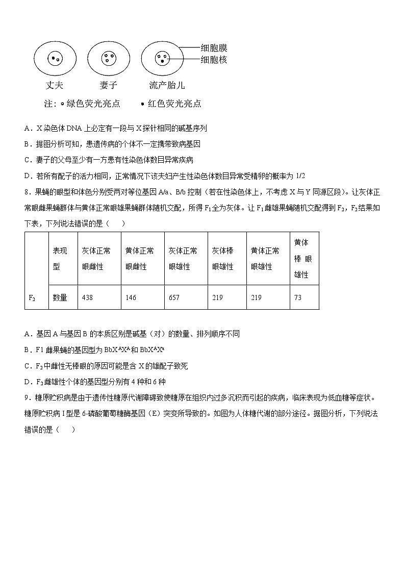 2020届山东省烟台高三二模生物试卷及答案第3页