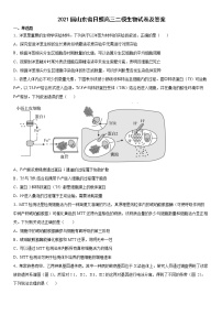 2021届山东省日照高三二模生物试卷及答案