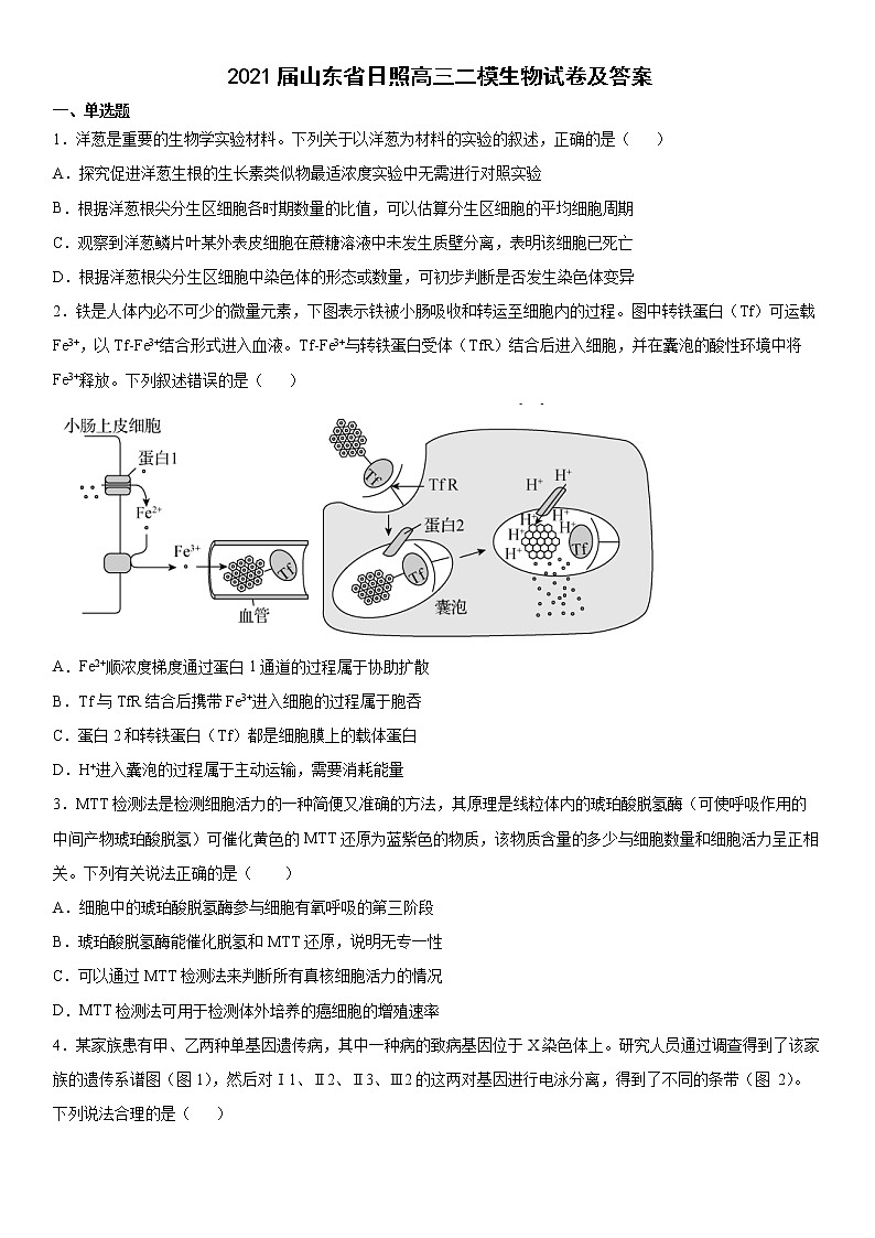 2021届山东省日照高三二模生物试卷及答案01
